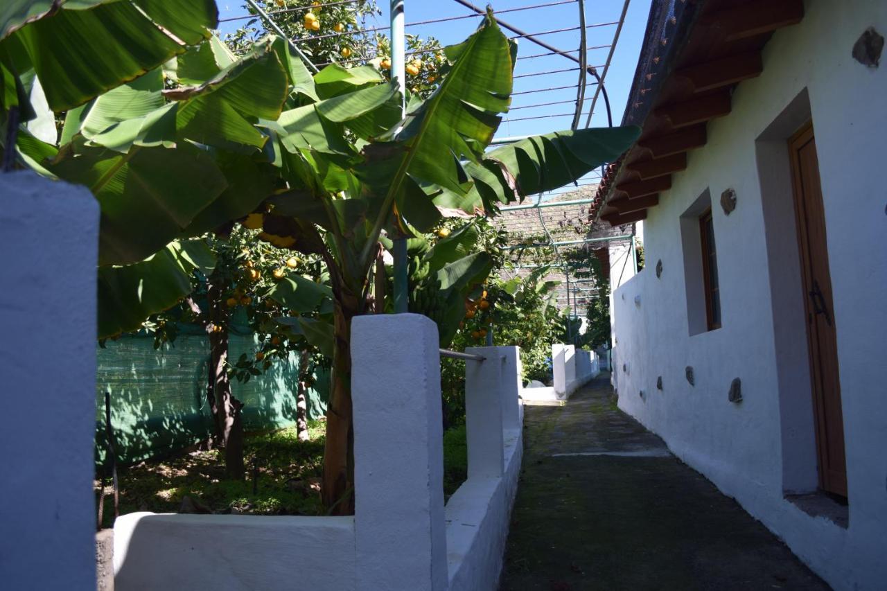 Casa Camino Tamadaba Daire Agaete  Dış mekan fotoğraf