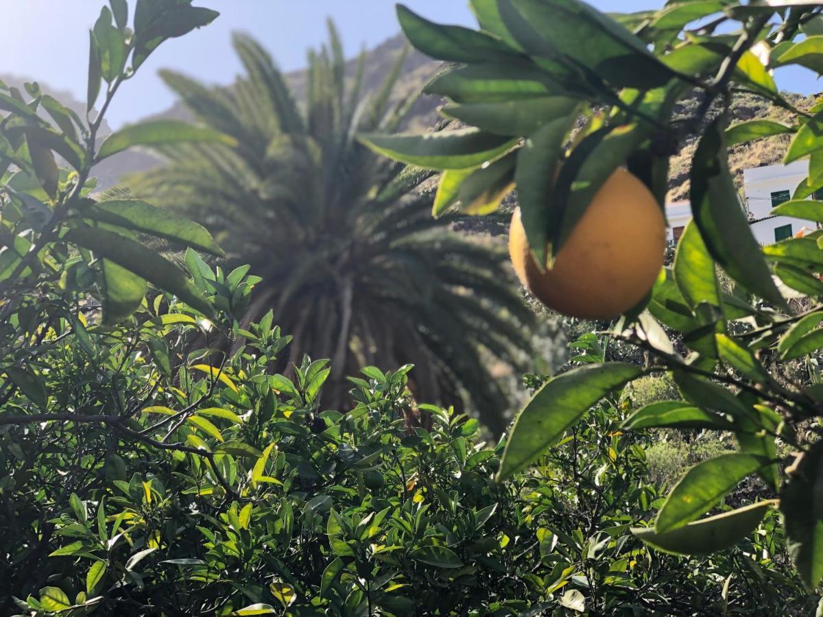 Casa Camino Tamadaba Daire Agaete  Dış mekan fotoğraf