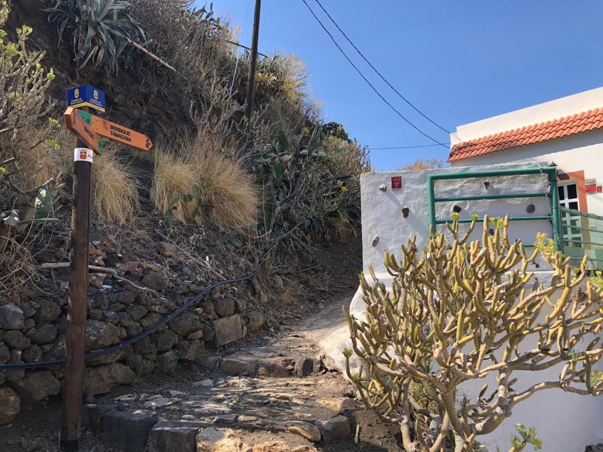Casa Camino Tamadaba Daire Agaete  Dış mekan fotoğraf