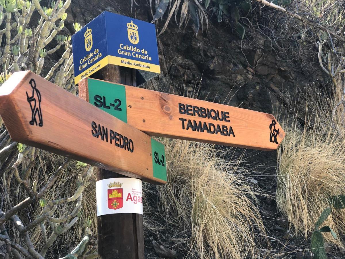 Casa Camino Tamadaba Daire Agaete  Dış mekan fotoğraf