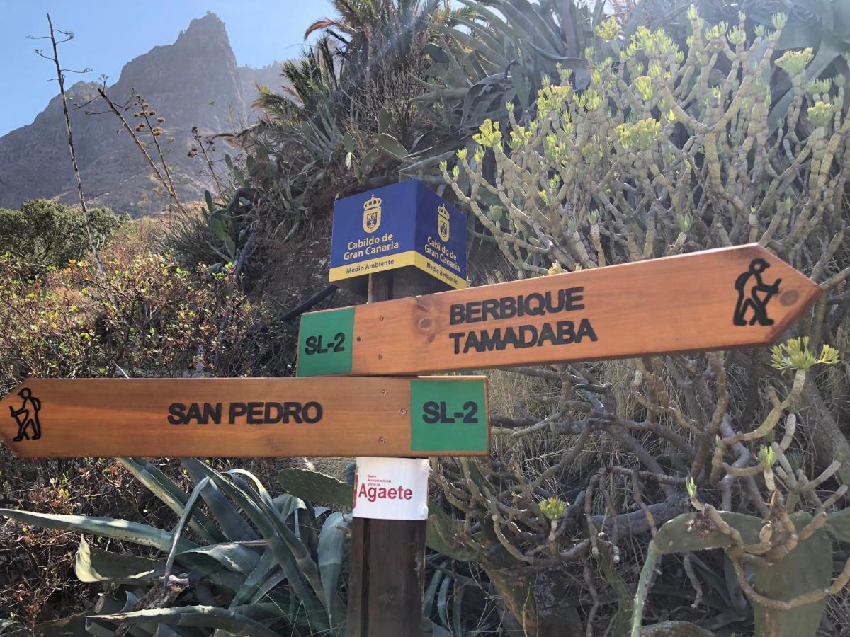 Casa Camino Tamadaba Daire Agaete  Dış mekan fotoğraf
